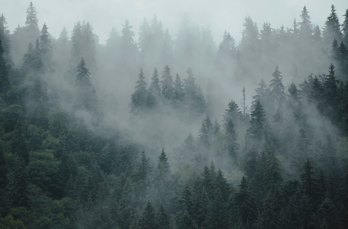 Atmospheric landscape