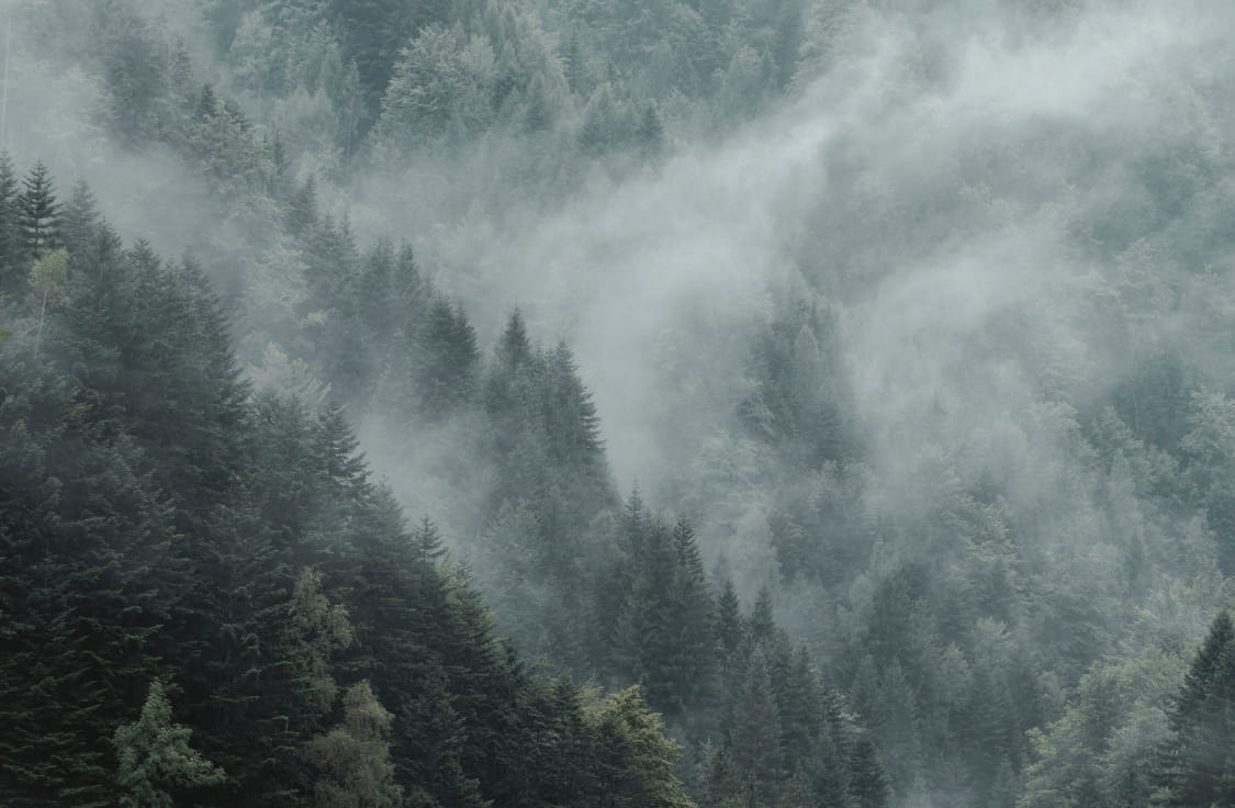 Misty mountain landscape
