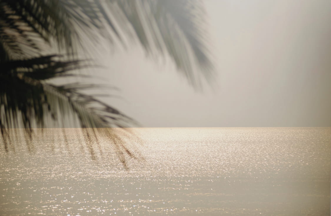 Tropical destination